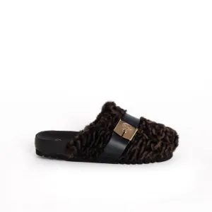 ALBERTA PRINTED Scholl
