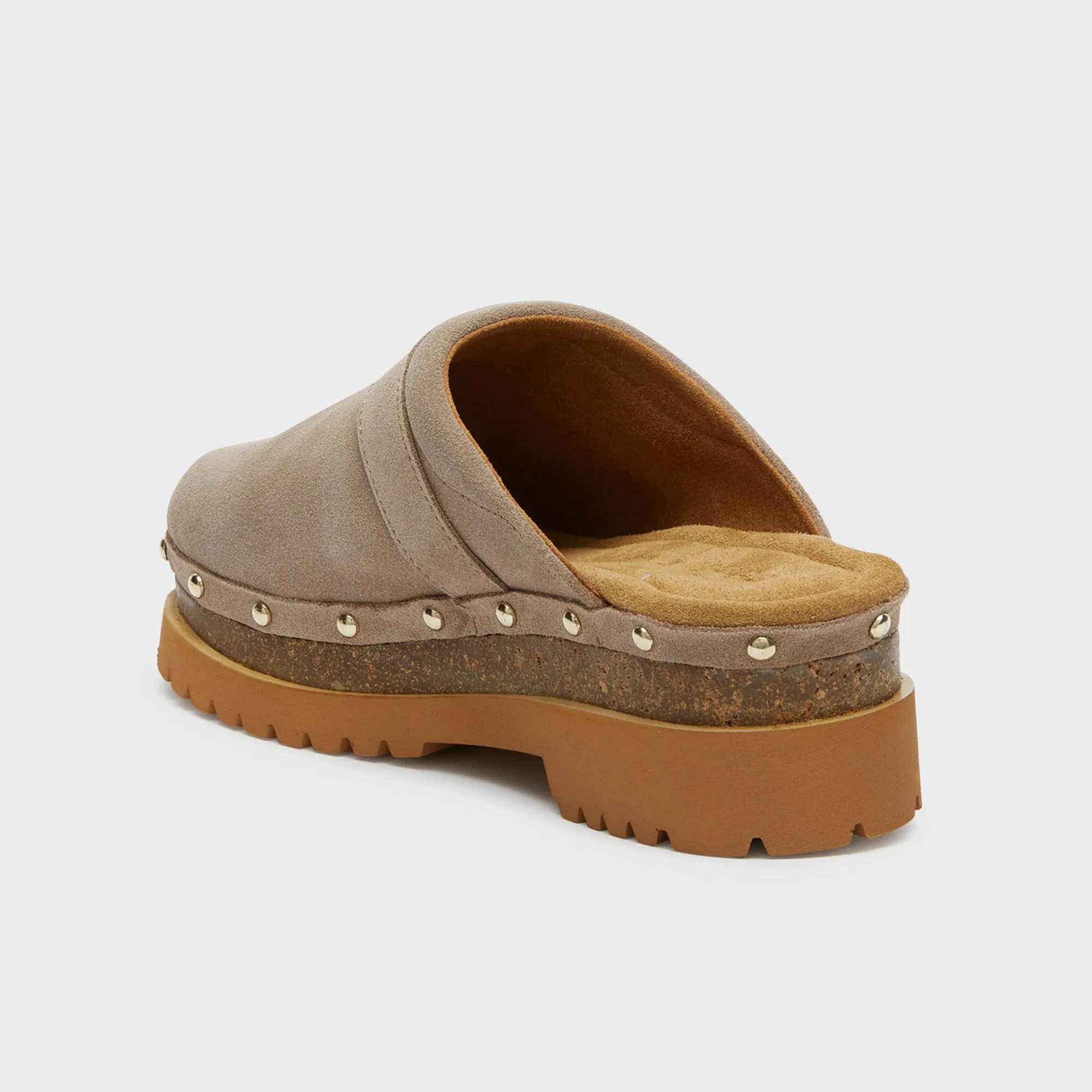 CINDY CORK Scholl