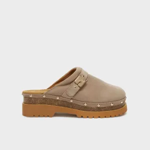 CINDY CORK Scholl