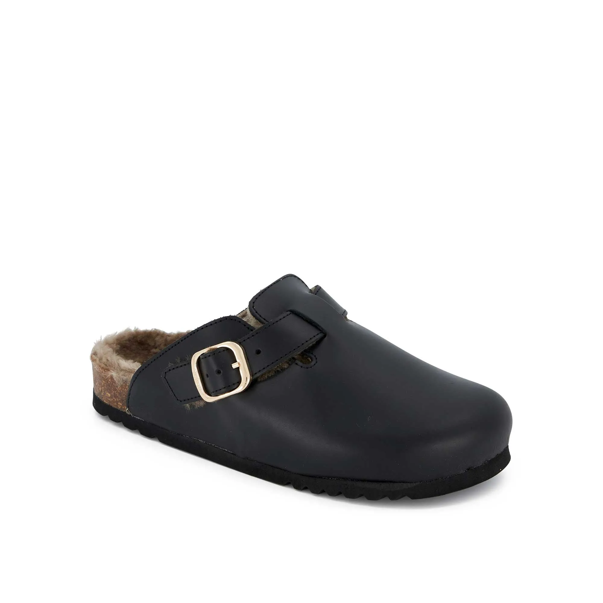 FAE NEW F Scholl
