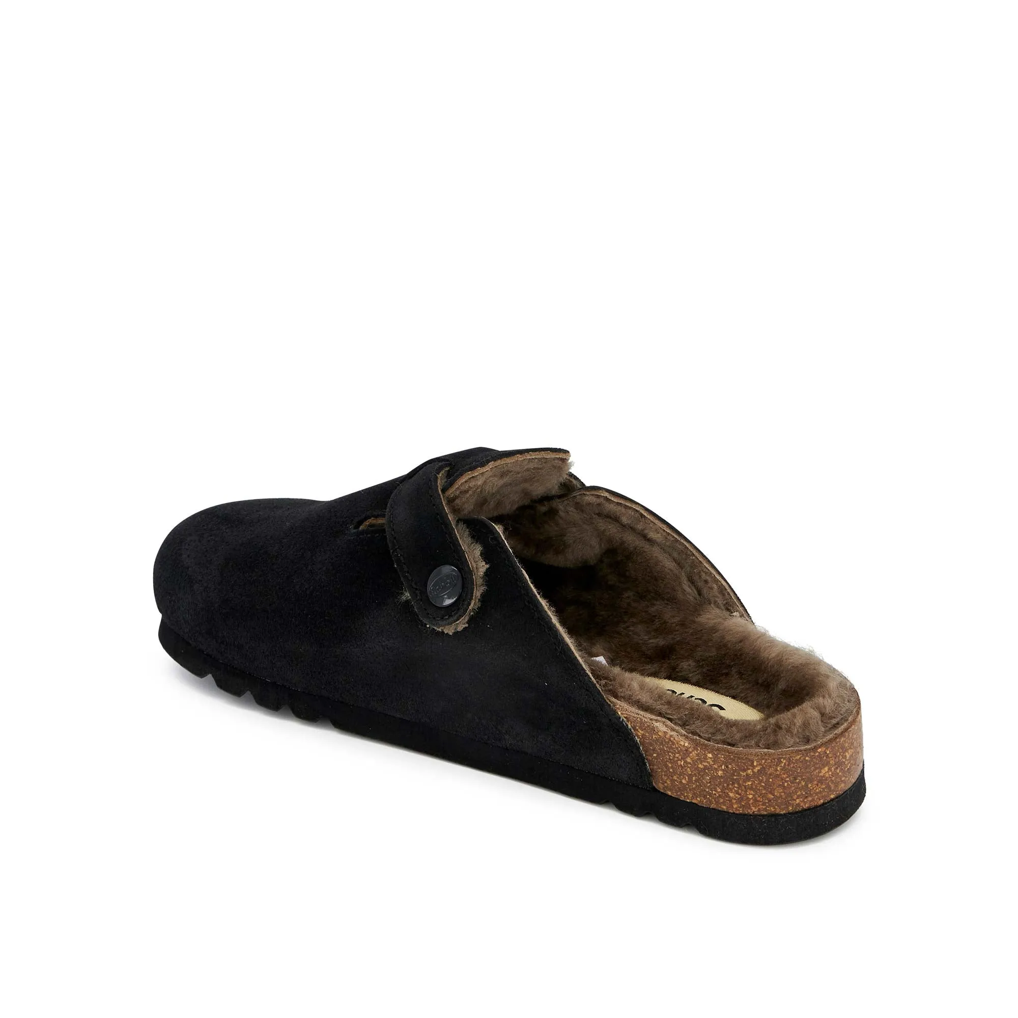 FAE NEW F Scholl