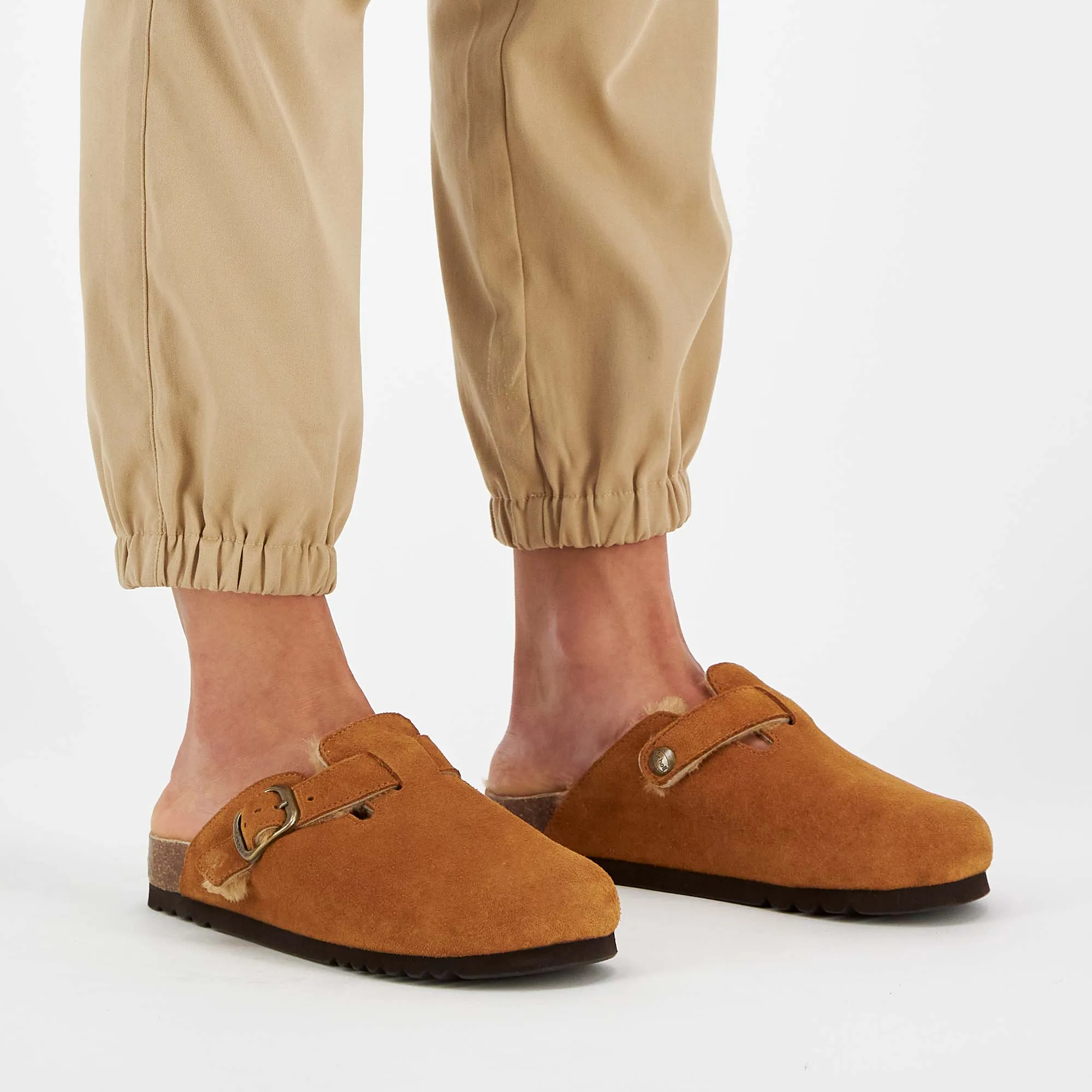FAE NEW F Scholl