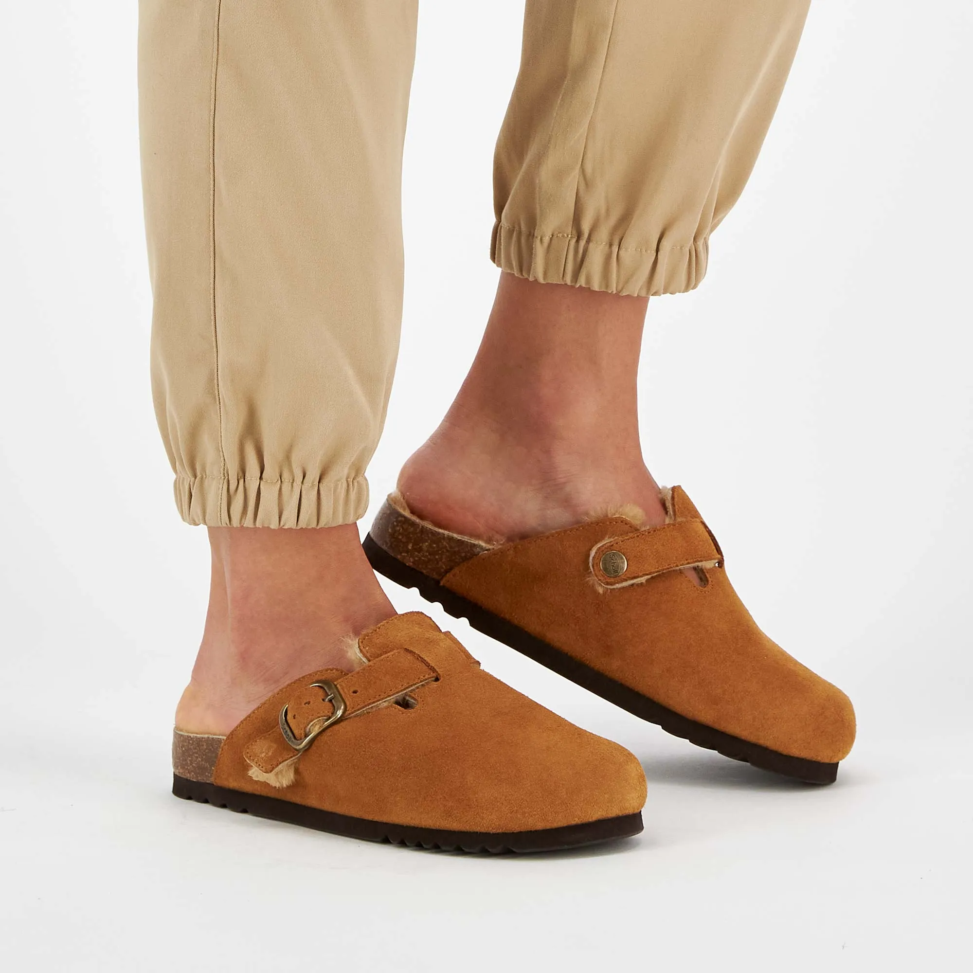 FAE NEW F Scholl