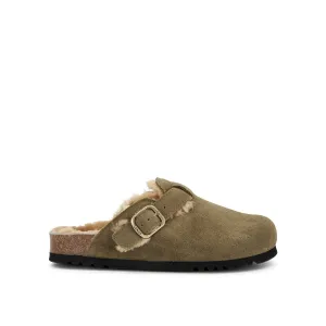 FAE NEW F Scholl