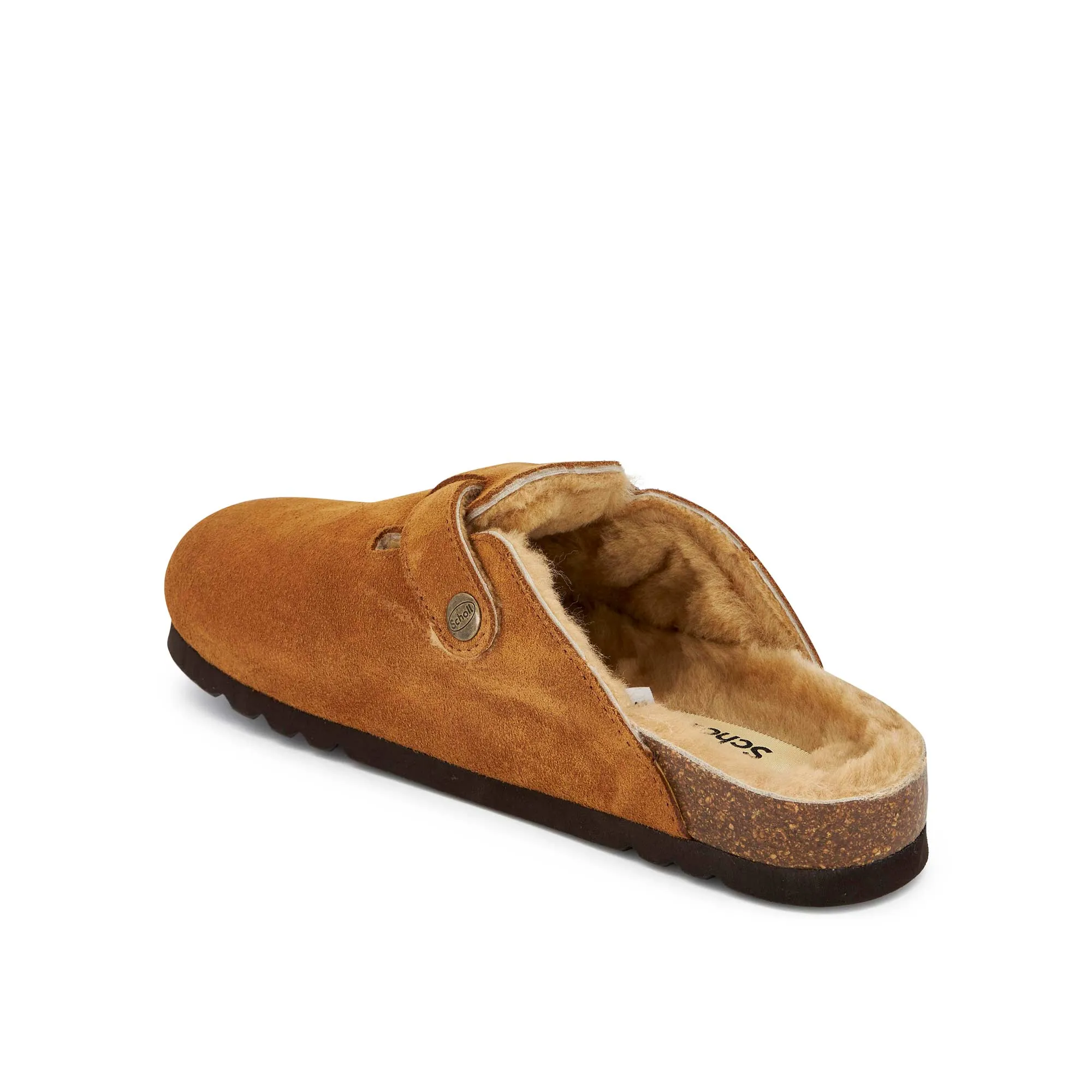 FAE NEW F Scholl