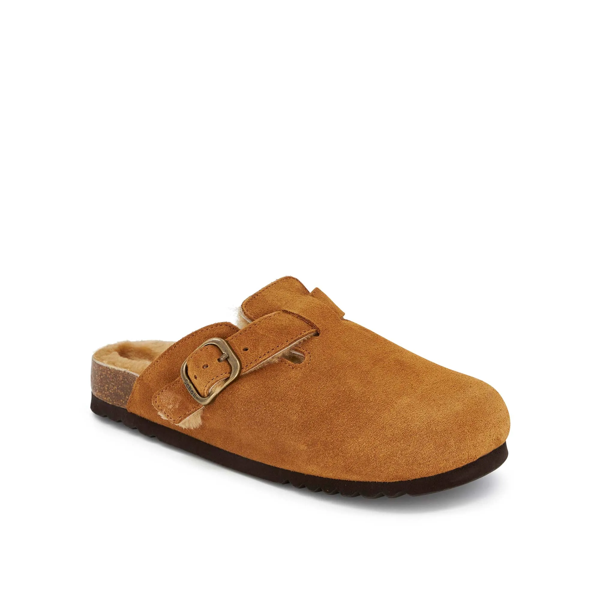 FAE NEW F Scholl