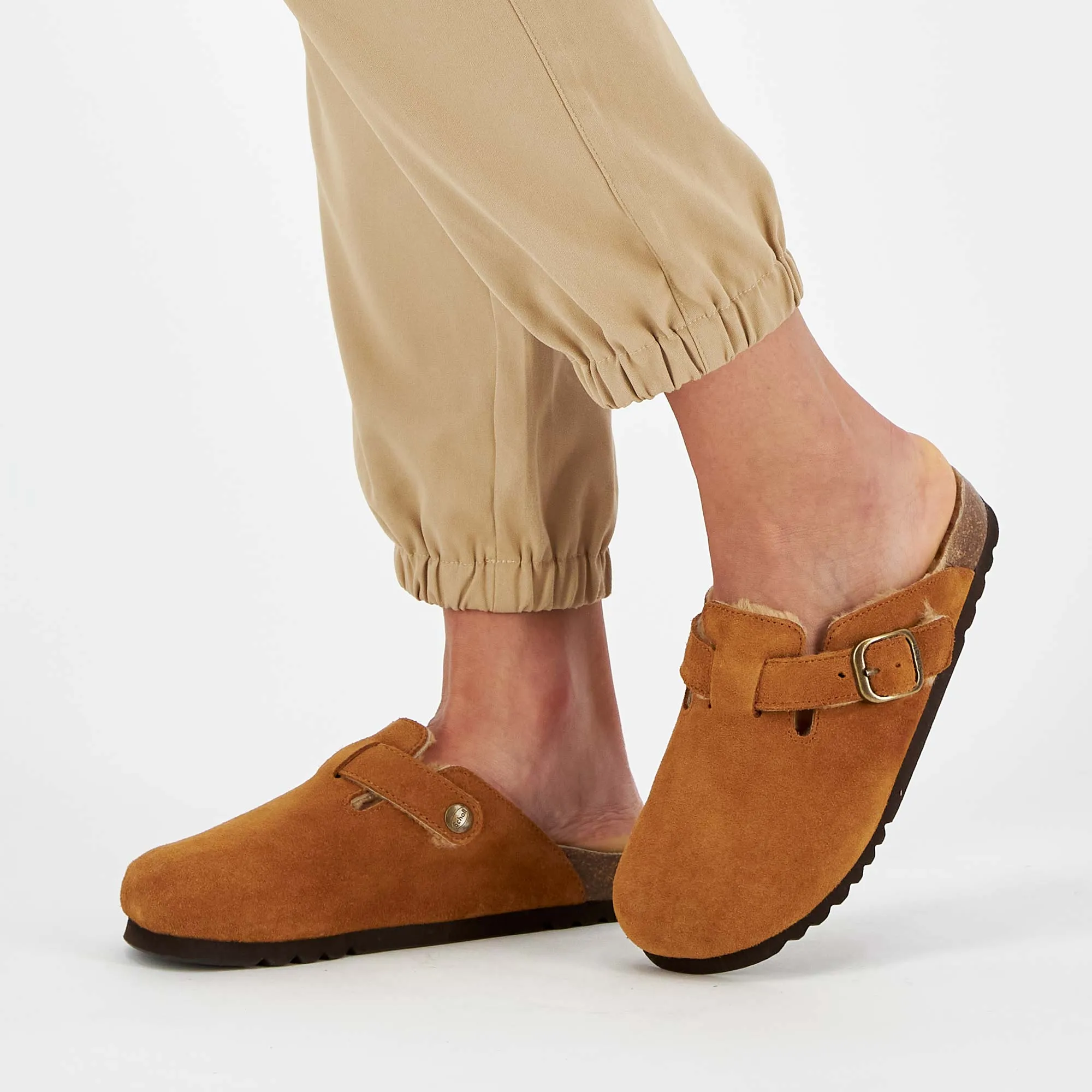 FAE NEW F Scholl