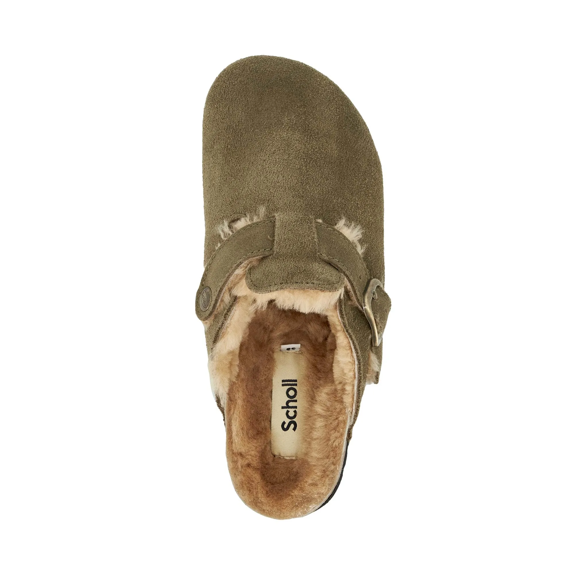 FAE NEW F Scholl