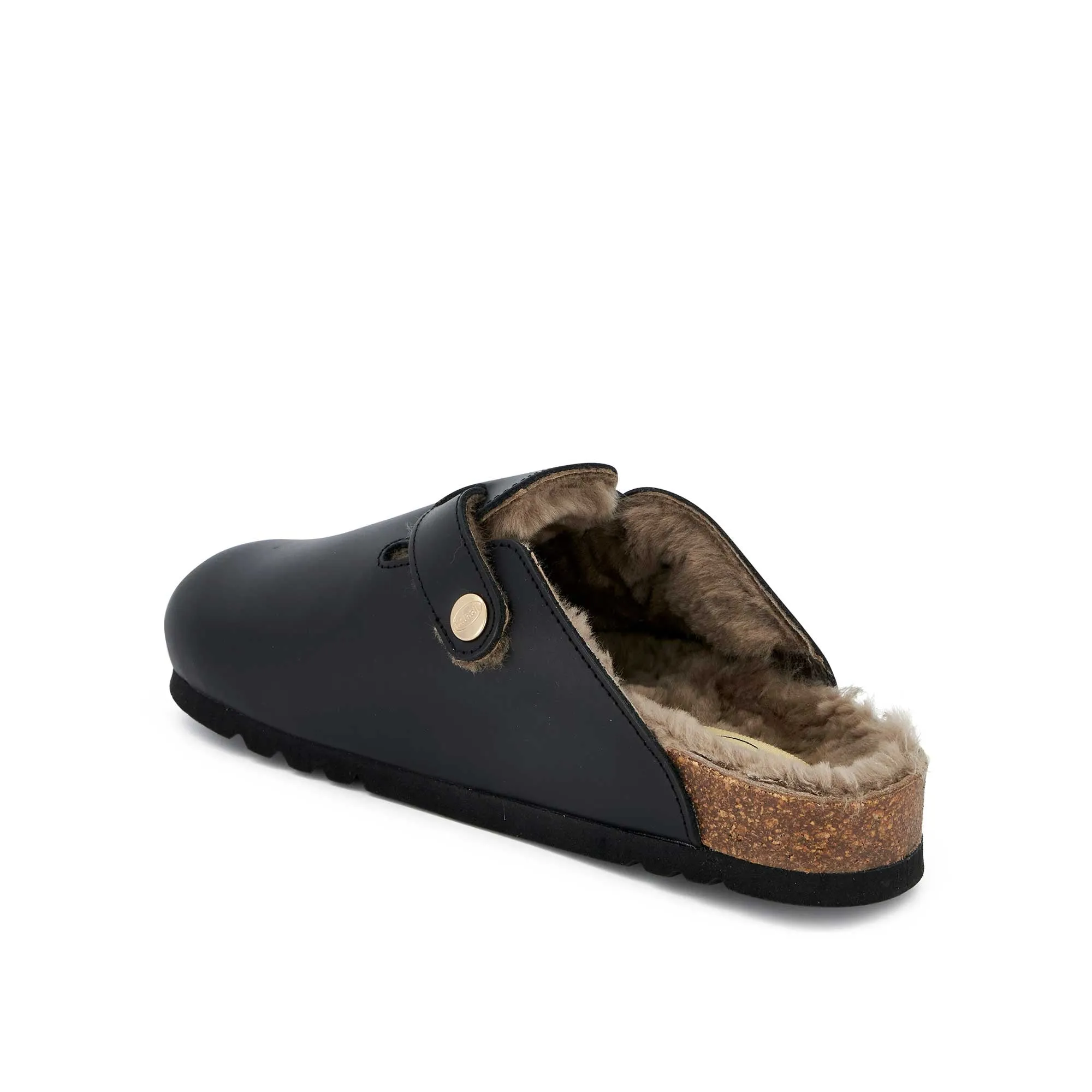 FAE NEW F Scholl