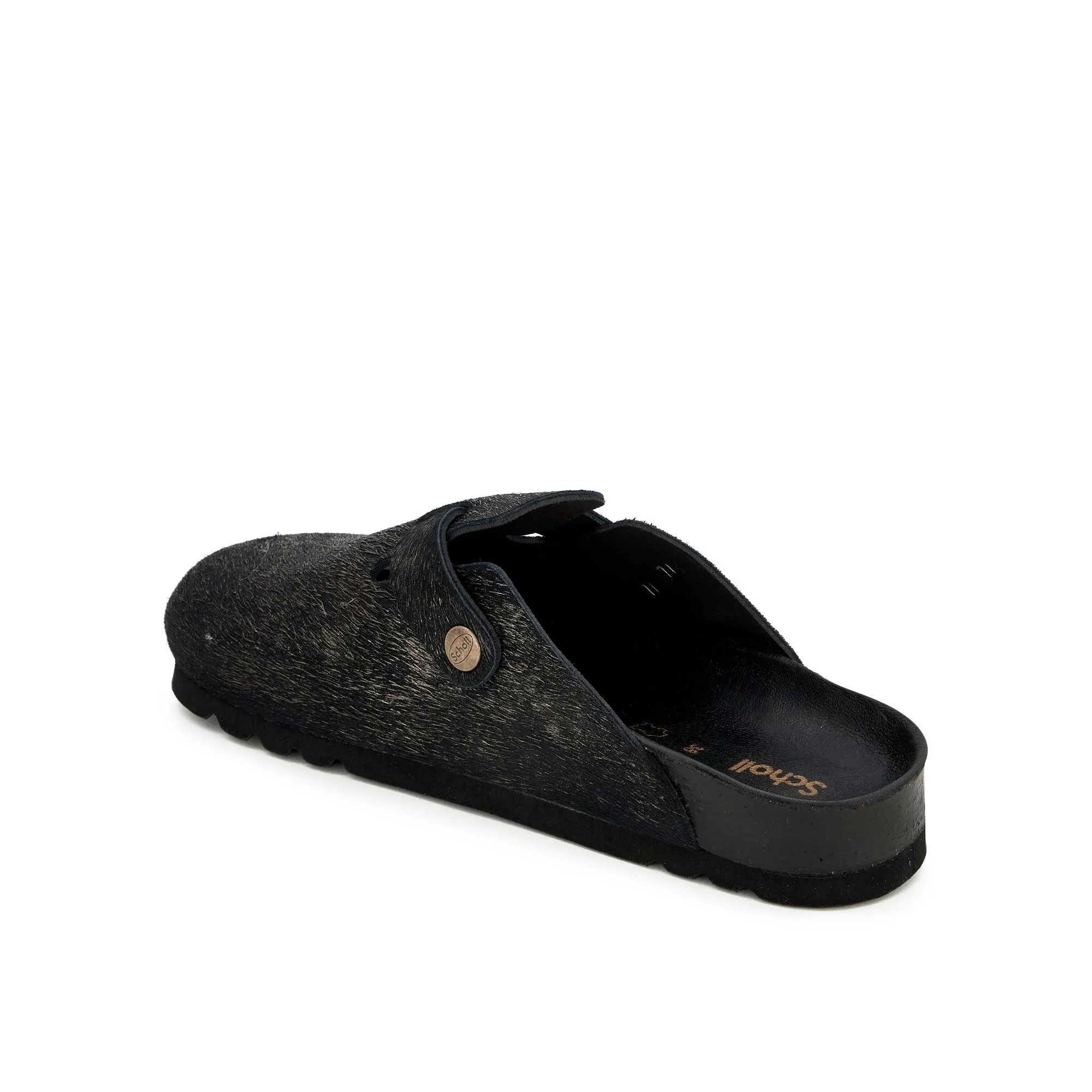 FAE NEW Scholl
