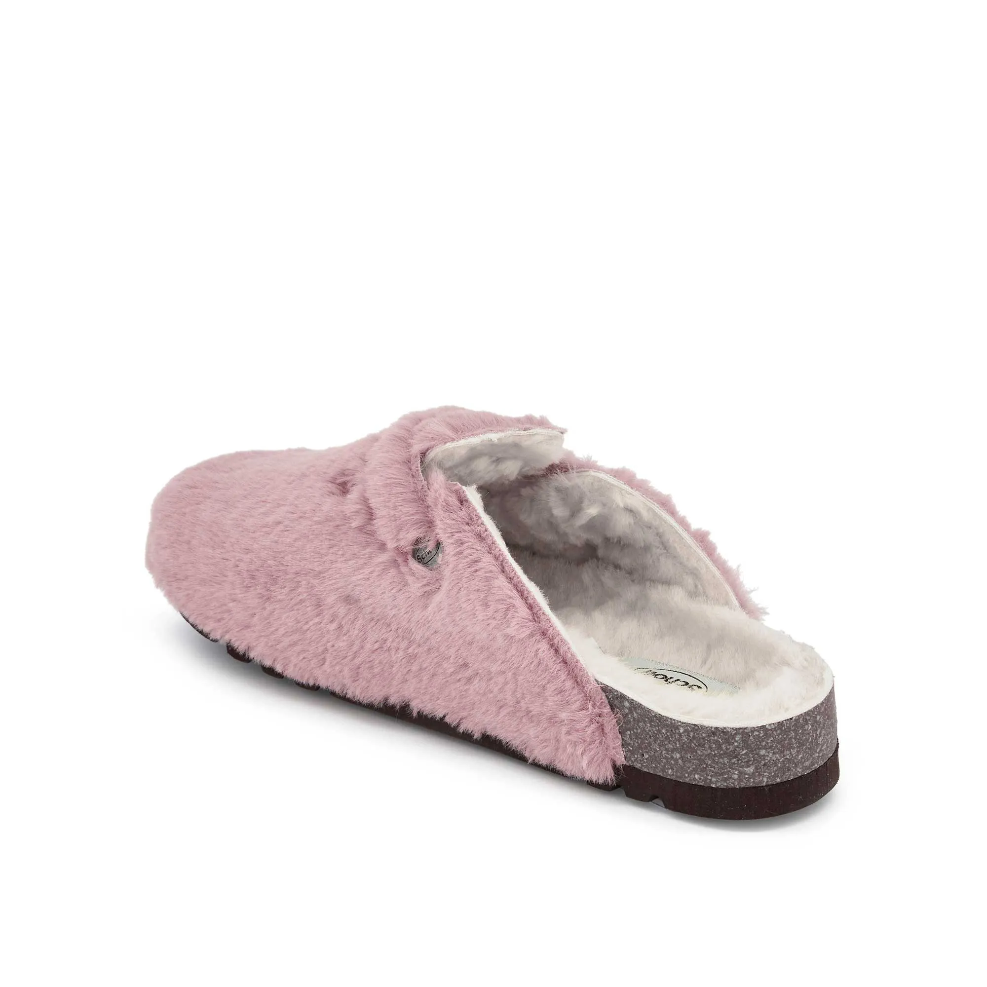 FAE NEW Scholl