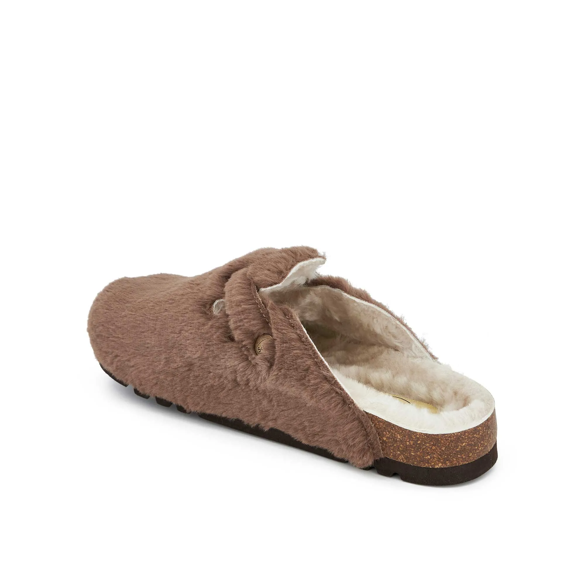 FAE NEW Scholl