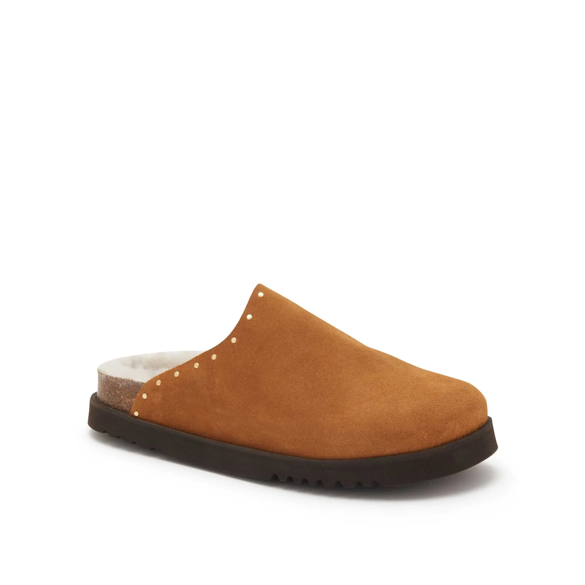 FAE STUDS Scholl
