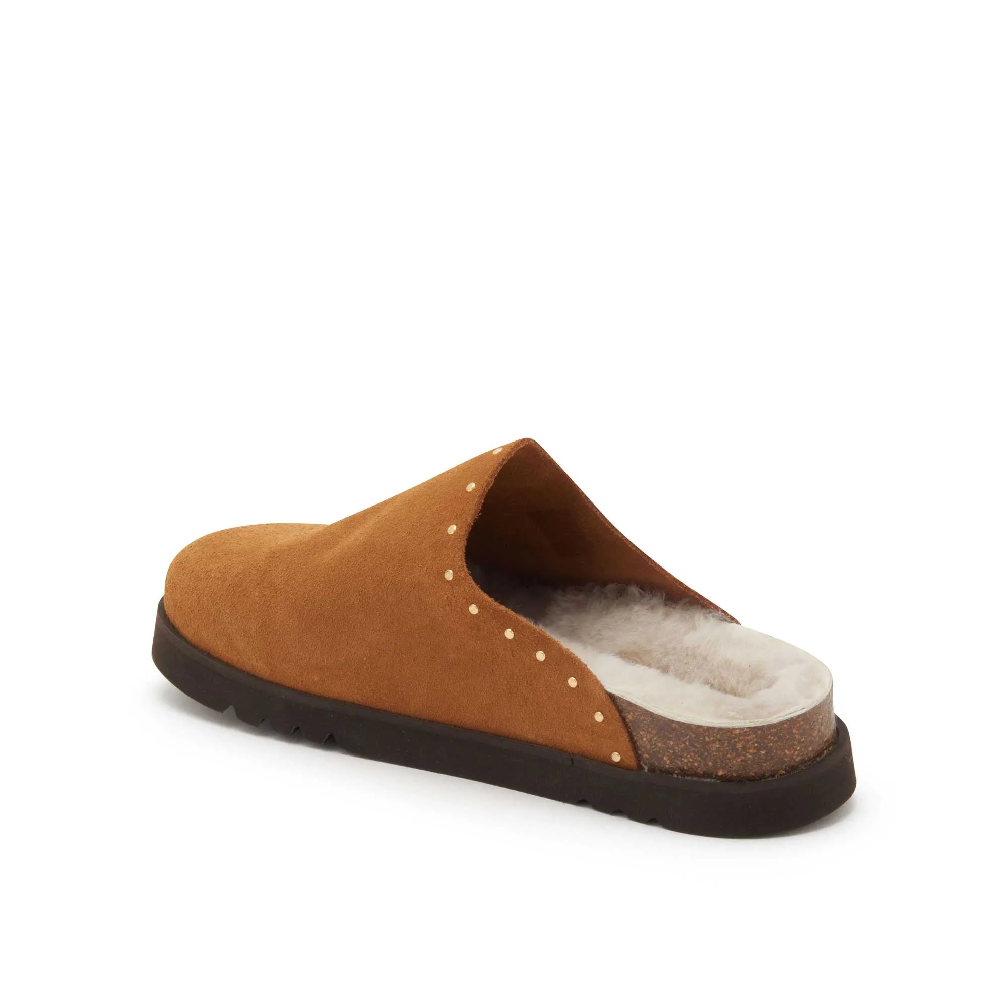 FAE STUDS Scholl