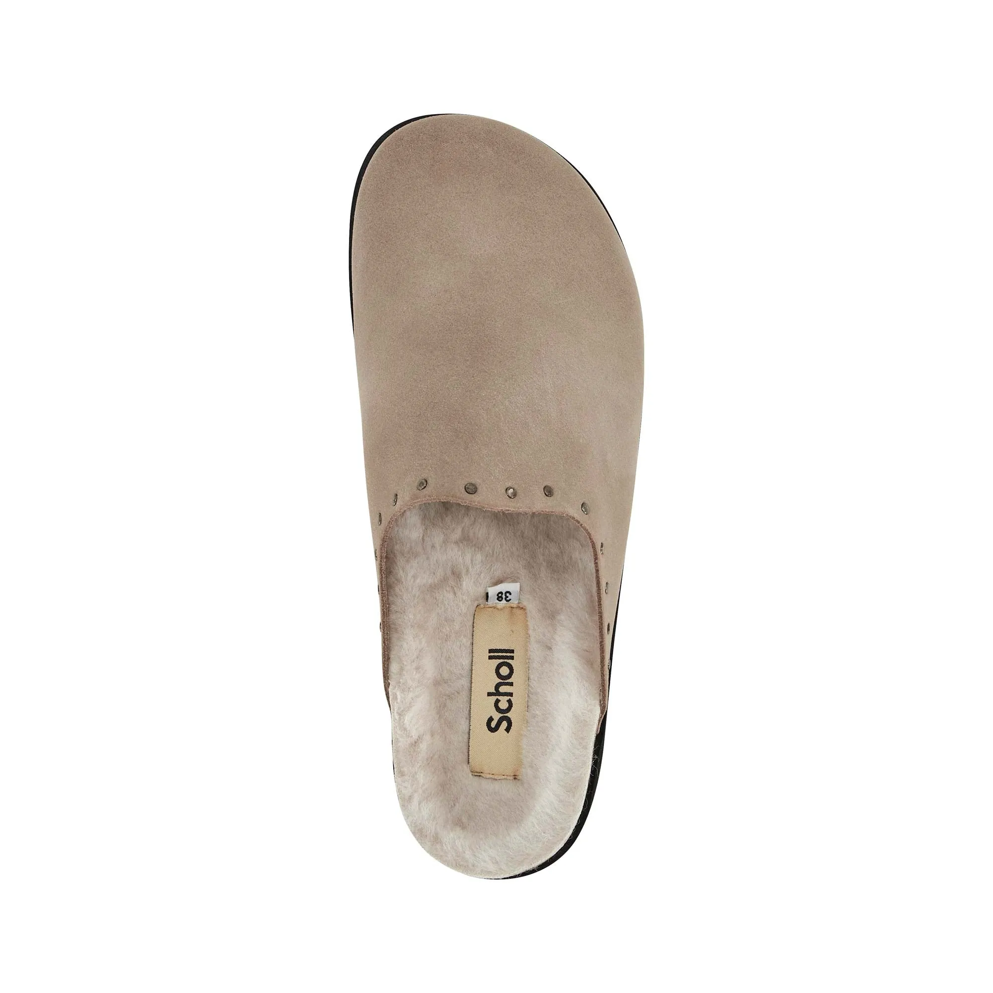 FAE STUDS Scholl