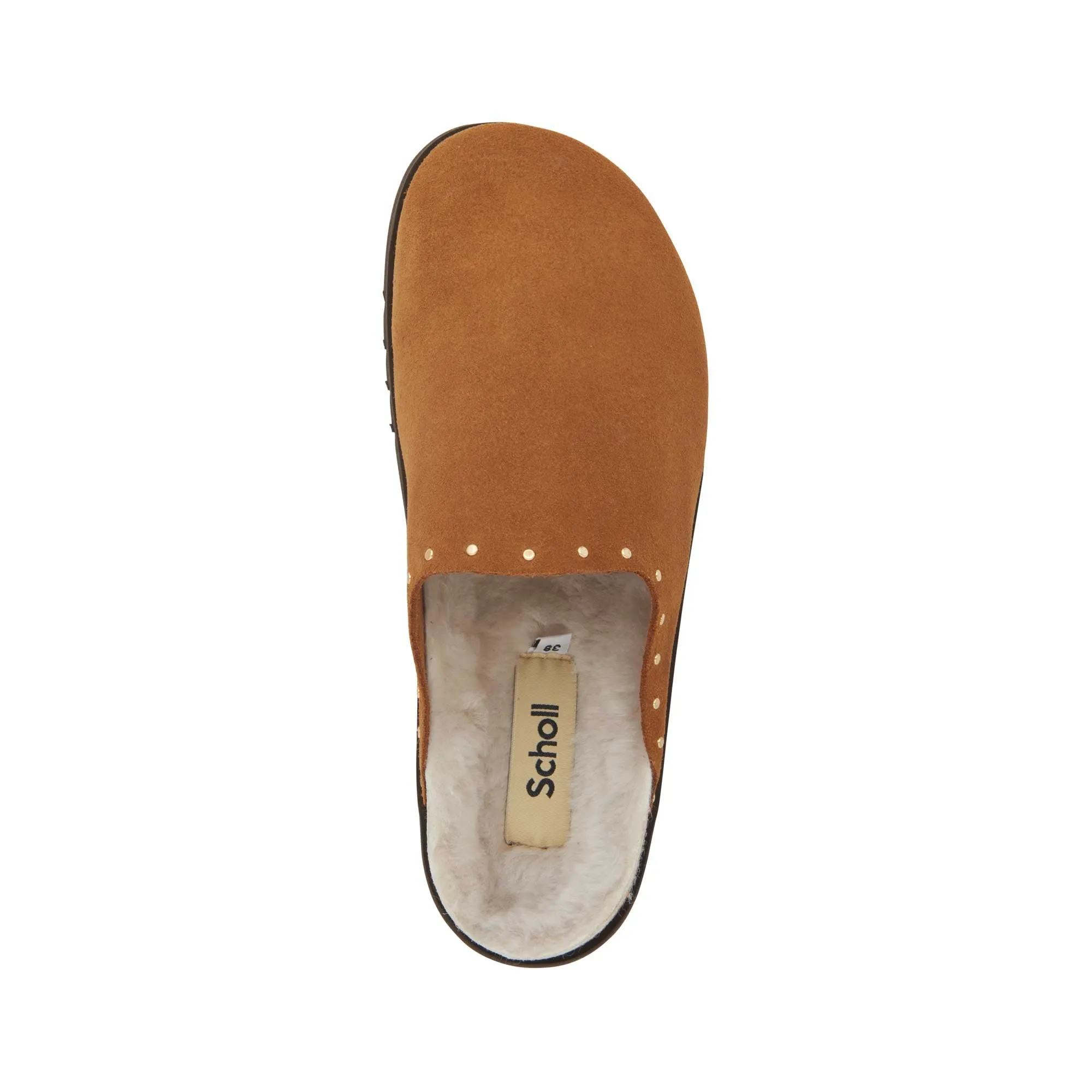 FAE STUDS Scholl