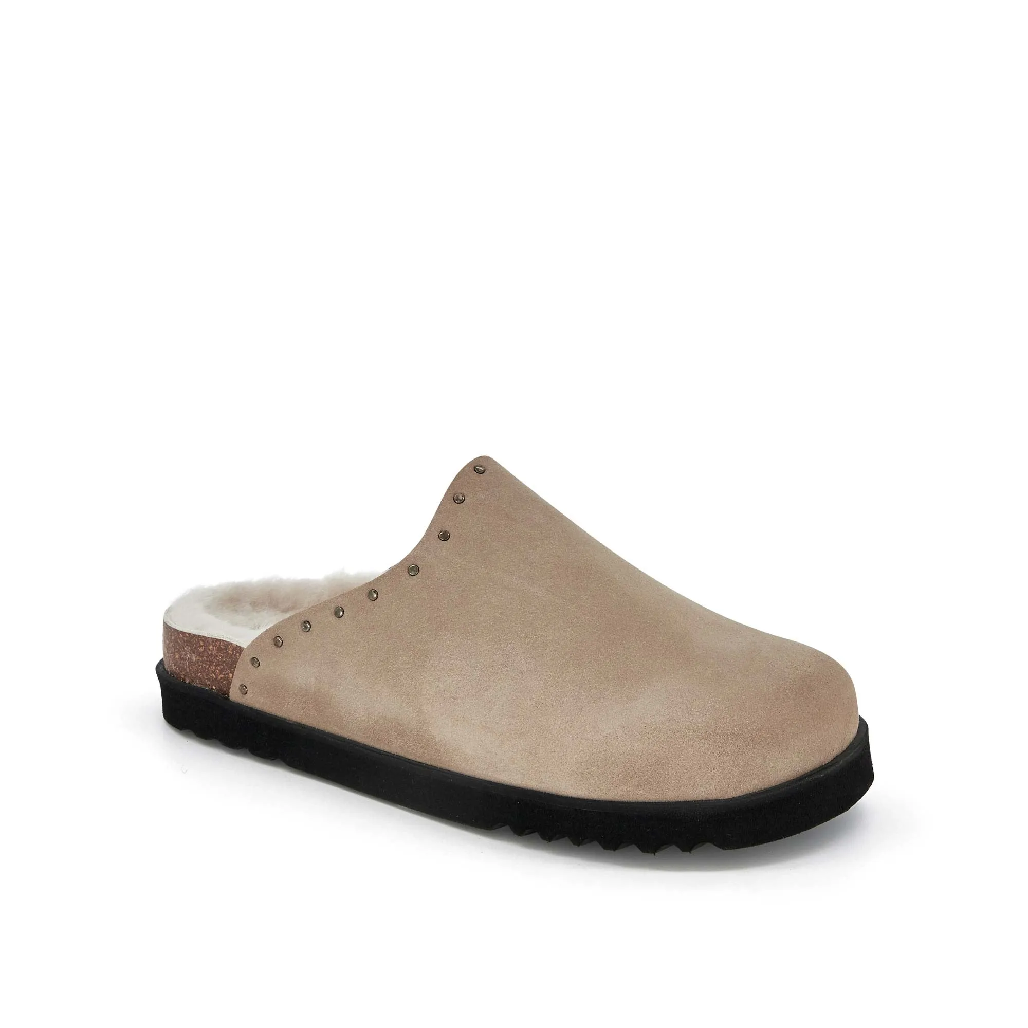 FAE STUDS Scholl