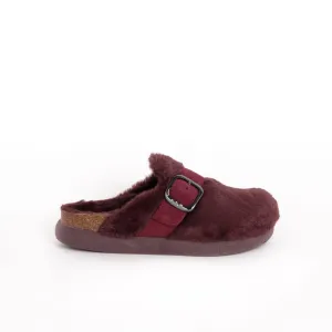 IVY BIG BUCKLE Scholl