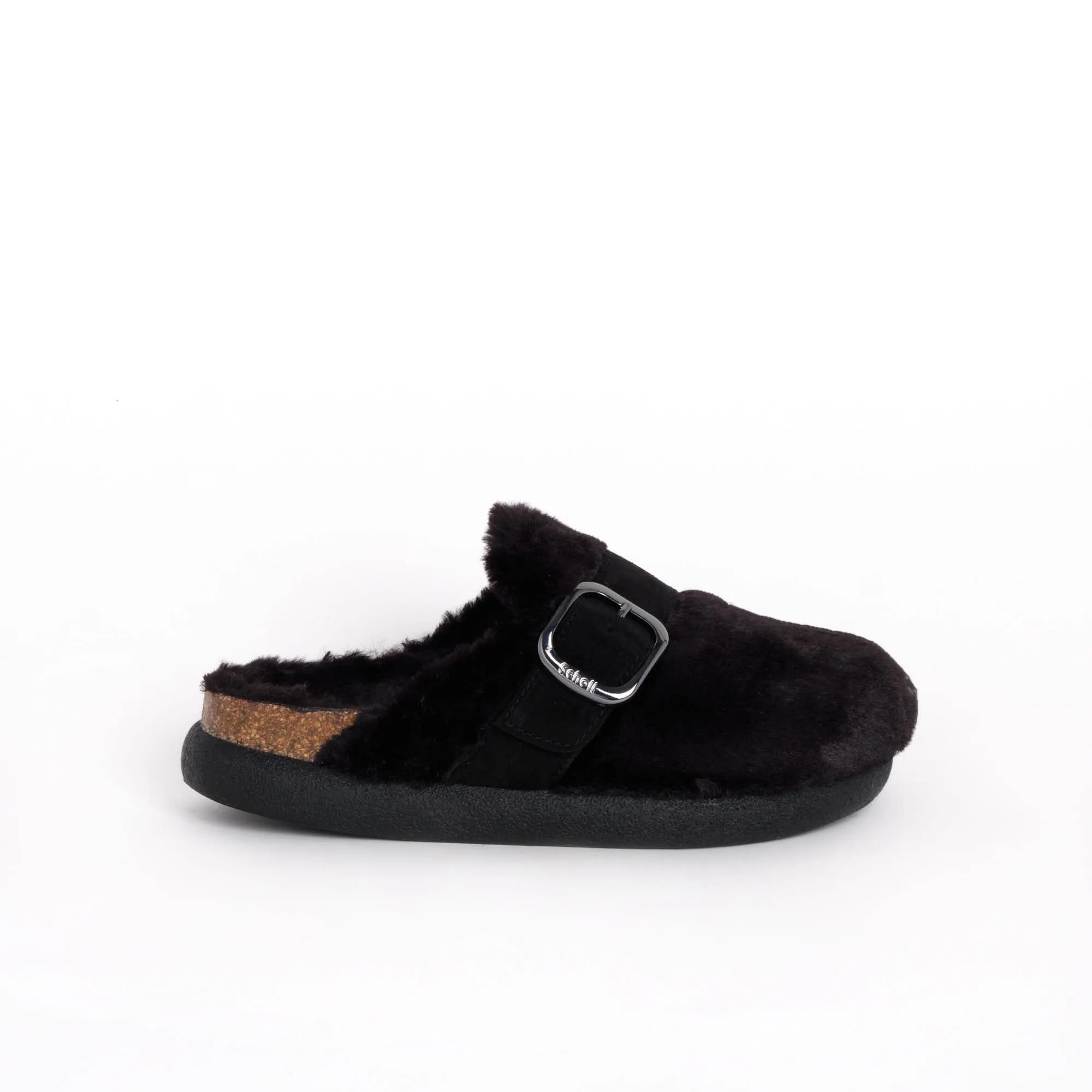 IVY BIG BUCKLE Scholl