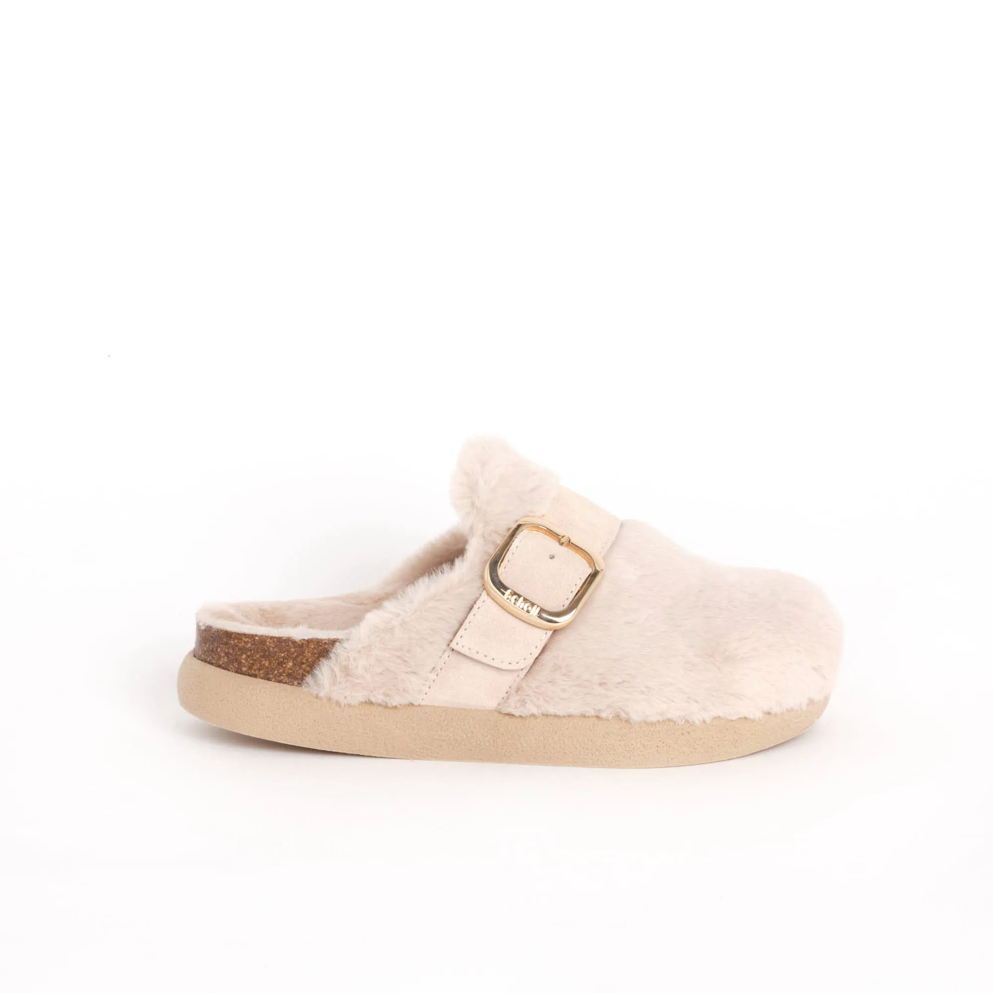 IVY BIG BUCKLE Scholl