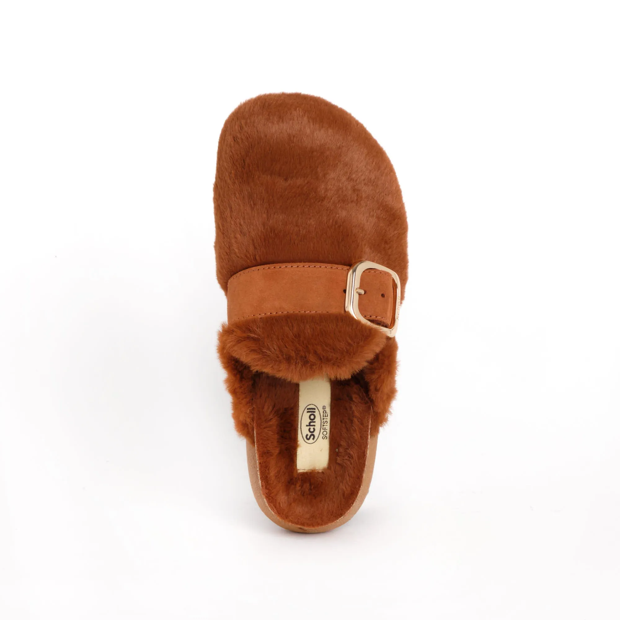 IVY BIG BUCKLE Scholl