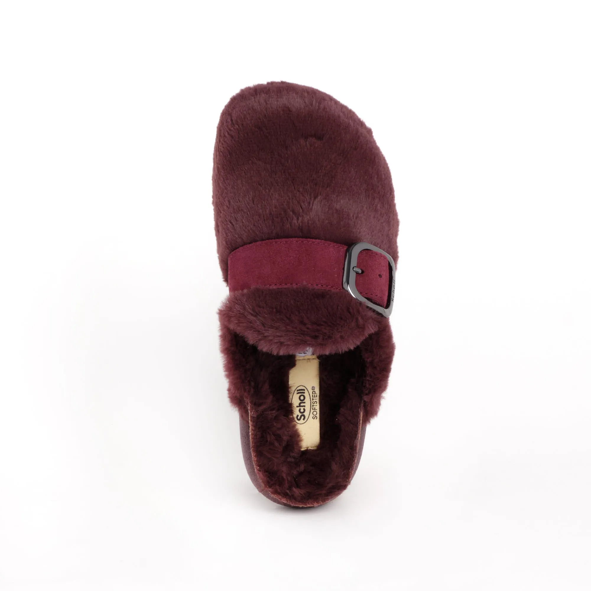 IVY BIG BUCKLE Scholl