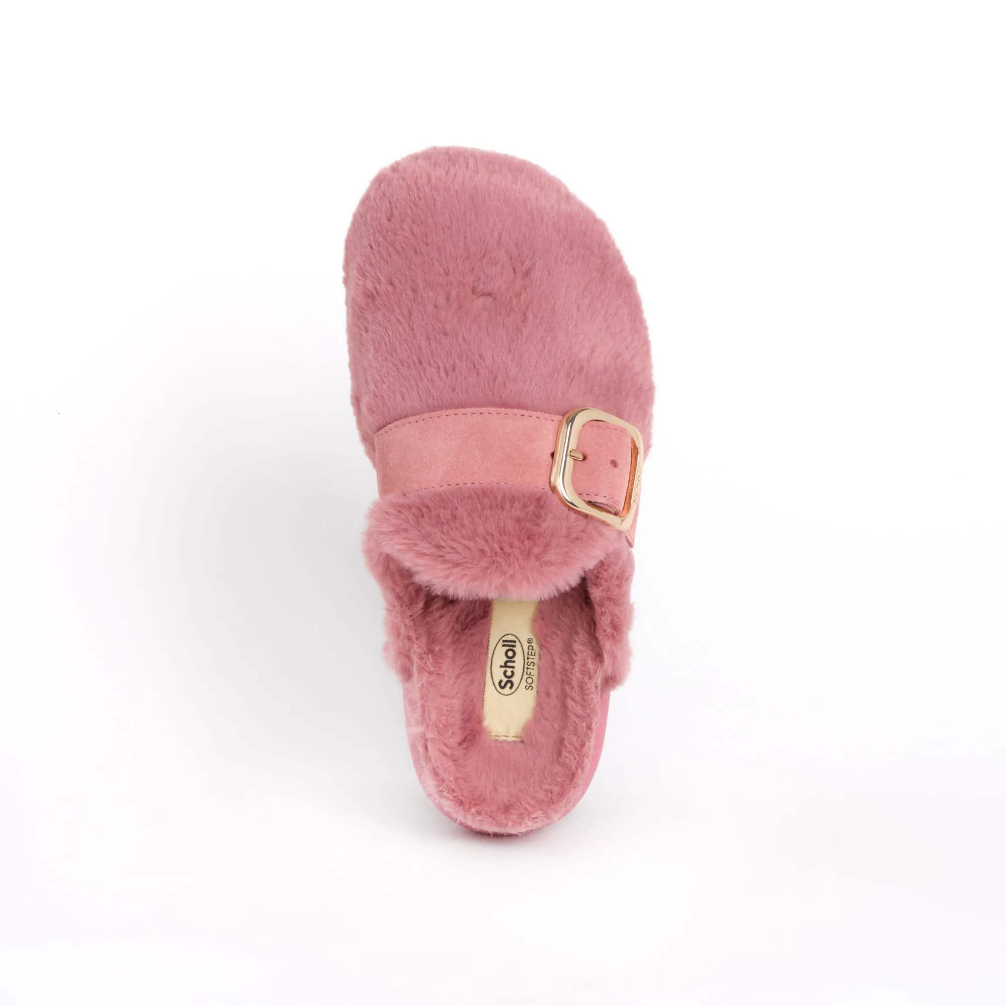 IVY BIG BUCKLE Scholl