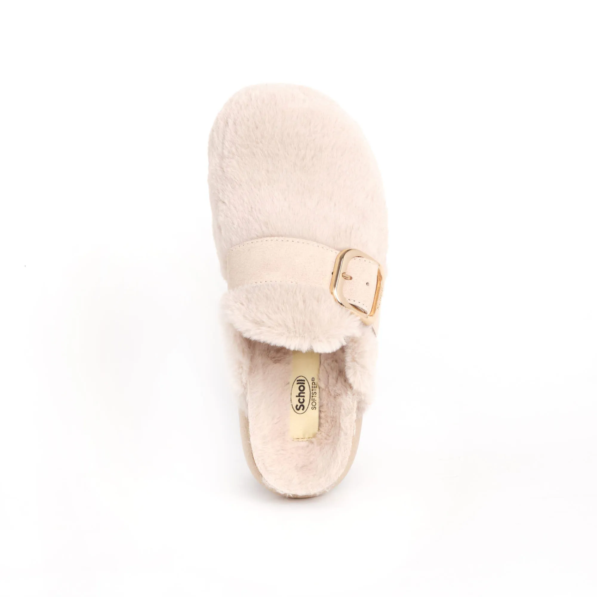 IVY BIG BUCKLE Scholl