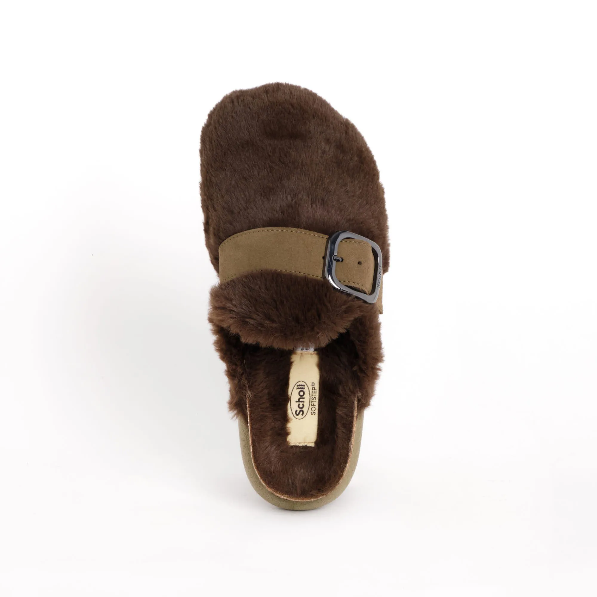 IVY BIG BUCKLE Scholl