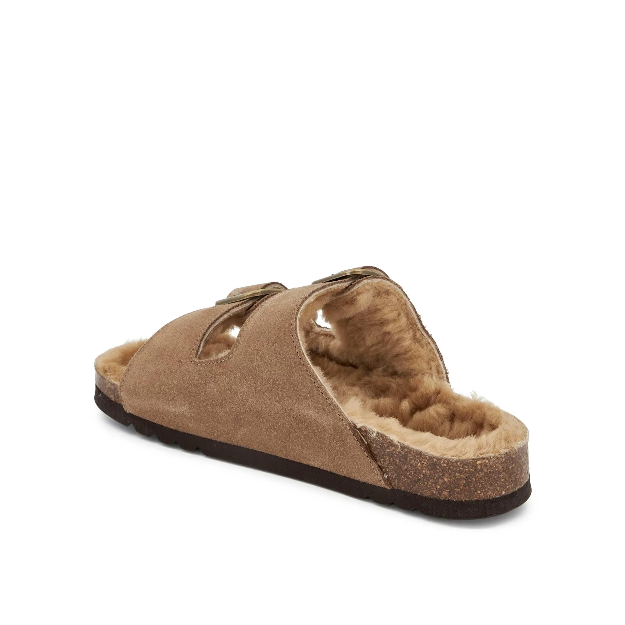 JOSEPHINE F NEW Scholl