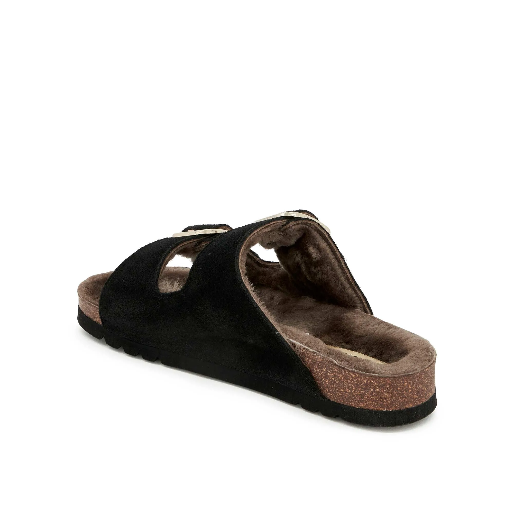 JOSEPHINE F NEW Scholl