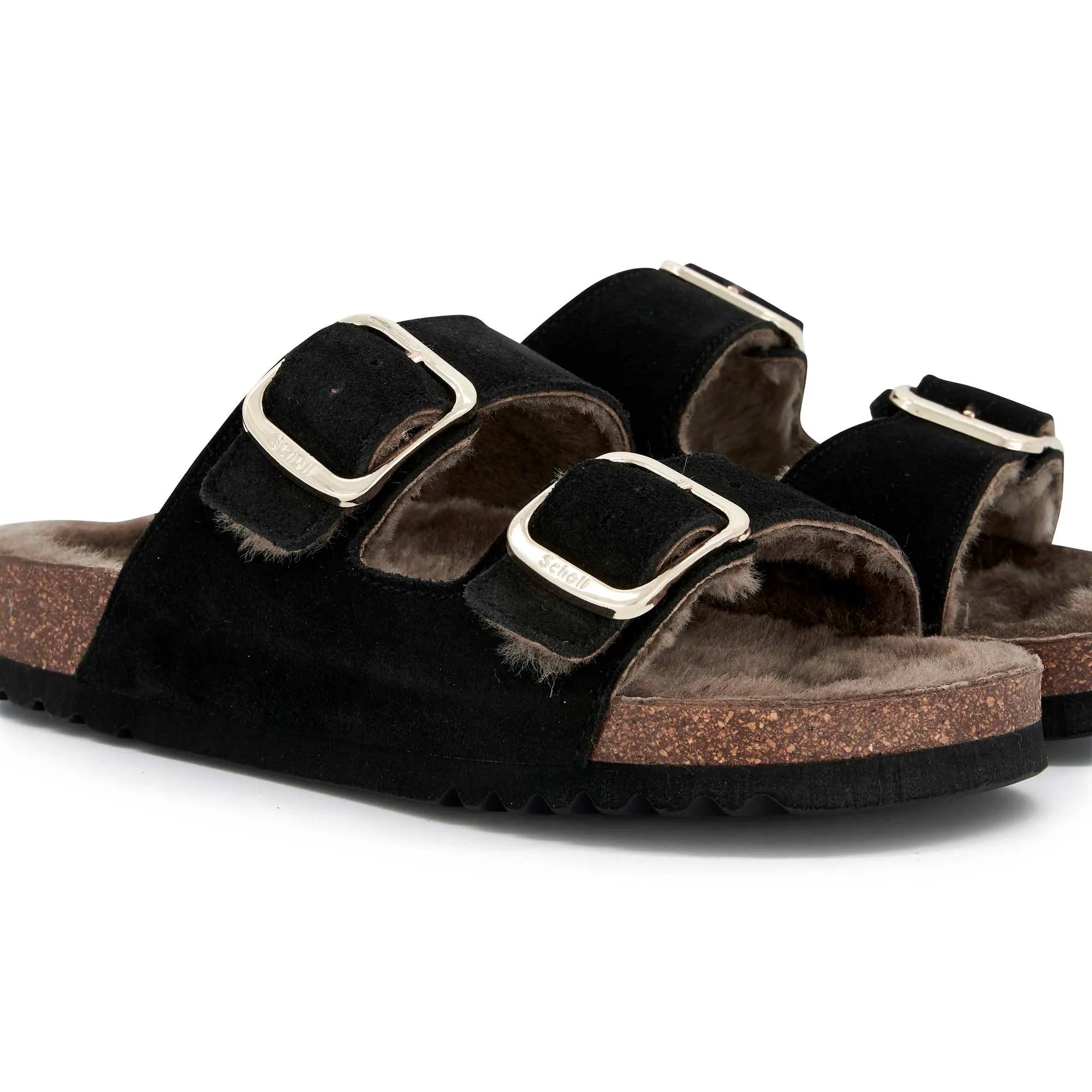 JOSEPHINE F NEW Scholl
