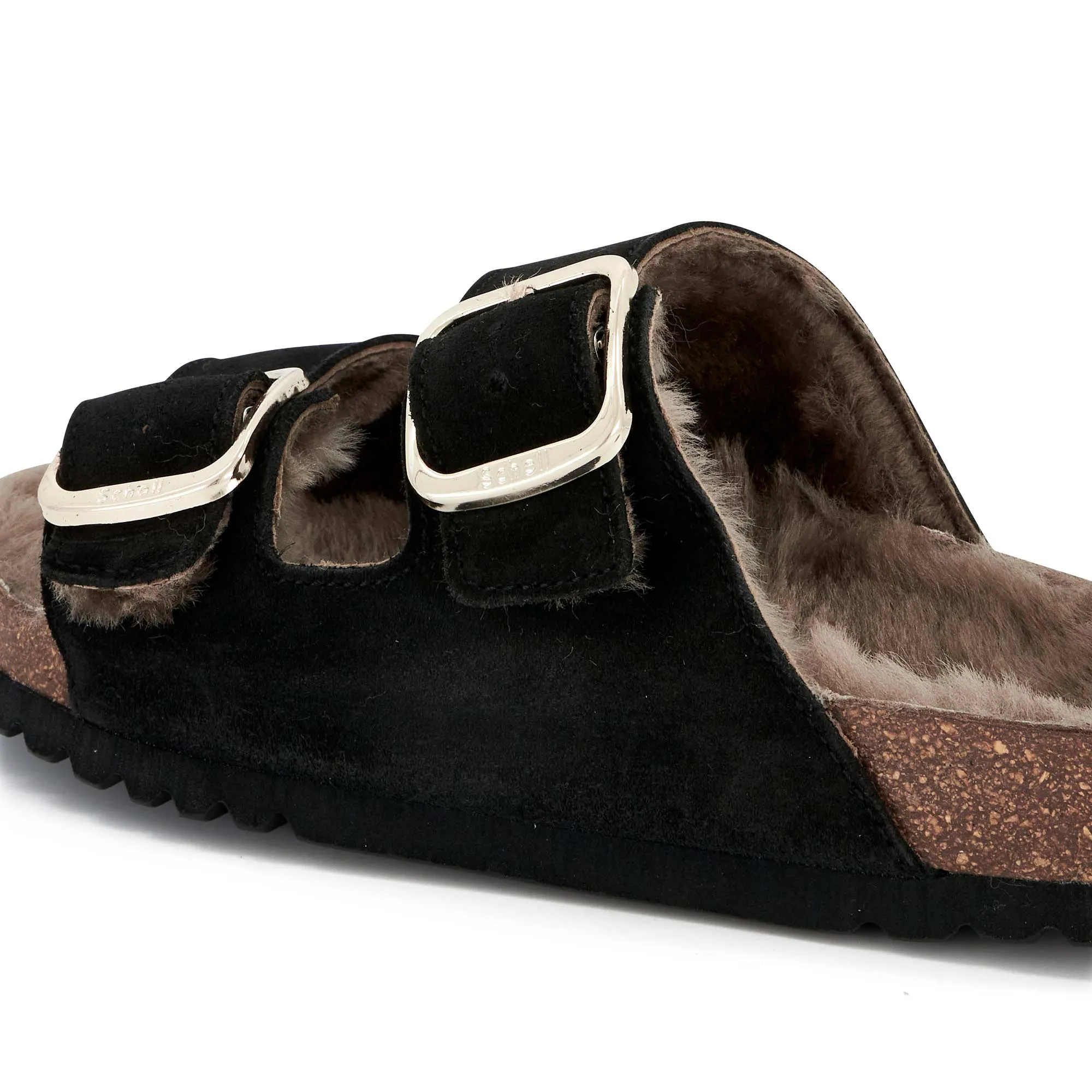 JOSEPHINE F NEW Scholl