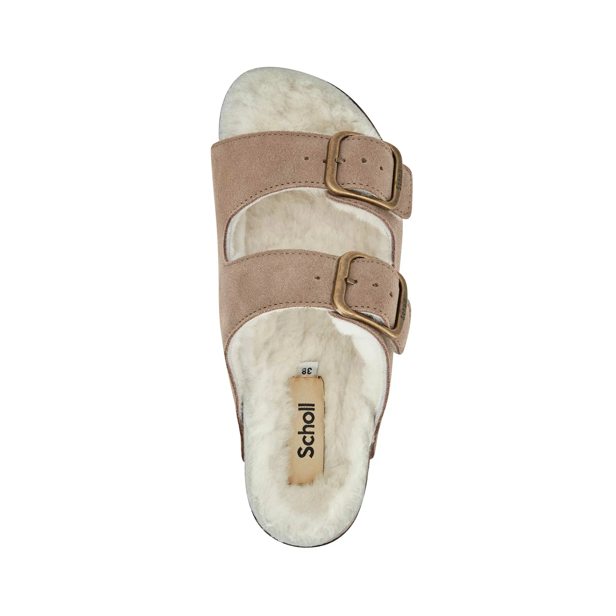 JOSEPHINE F NEW Scholl