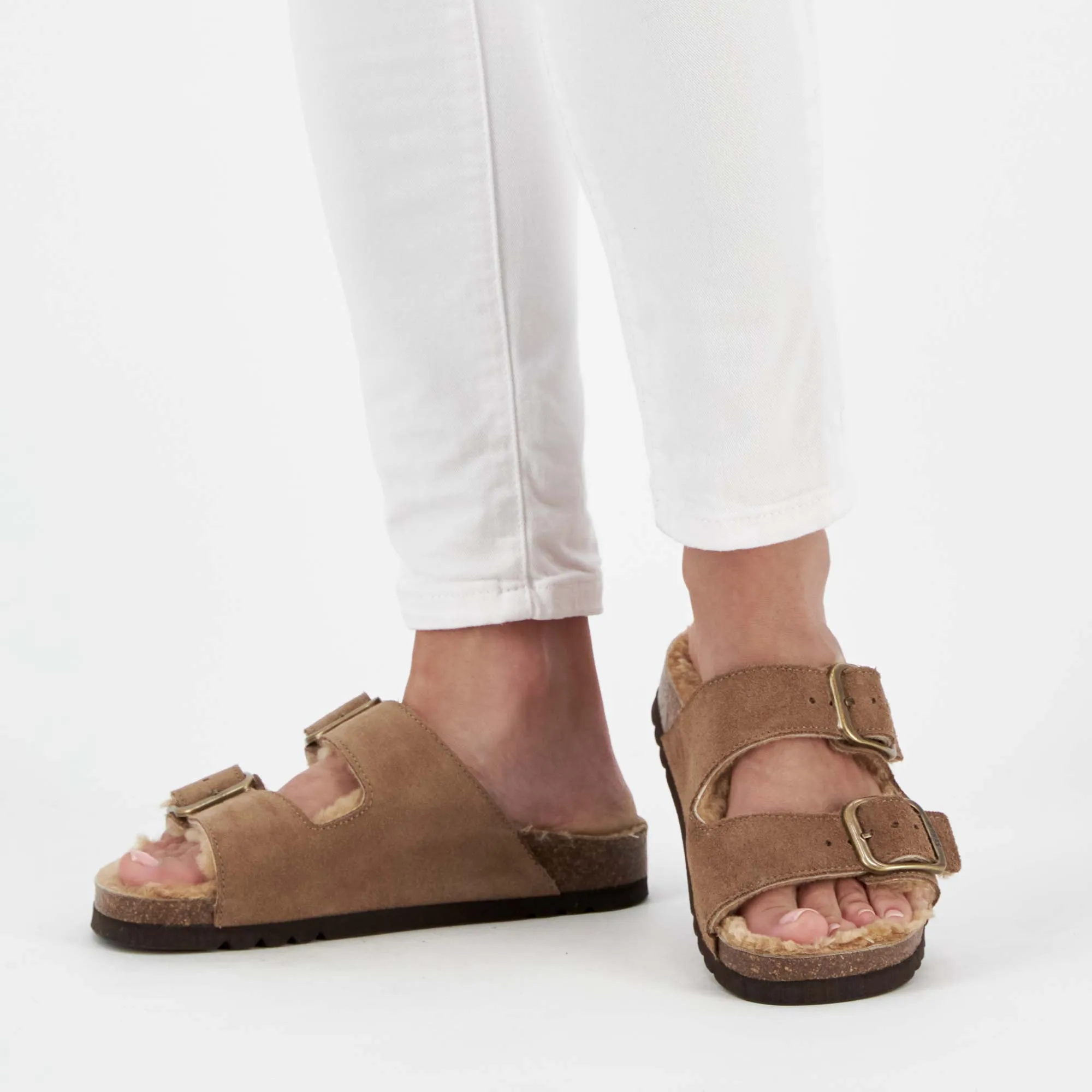JOSEPHINE F NEW Scholl