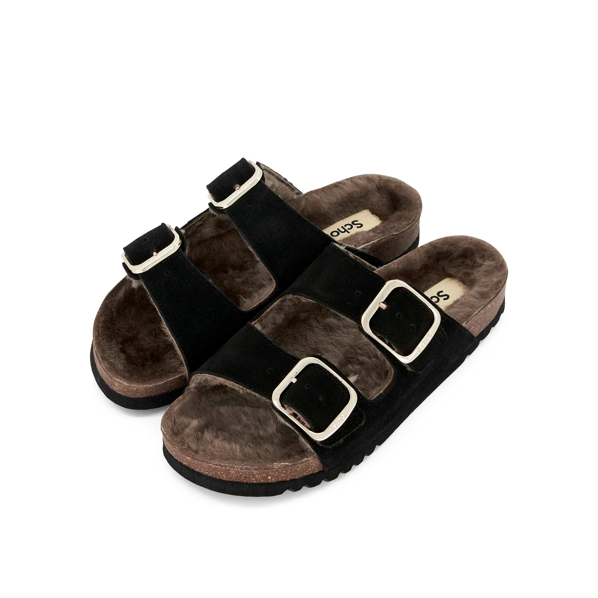 JOSEPHINE F NEW Scholl
