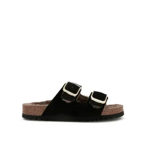 JOSEPHINE F NEW Scholl