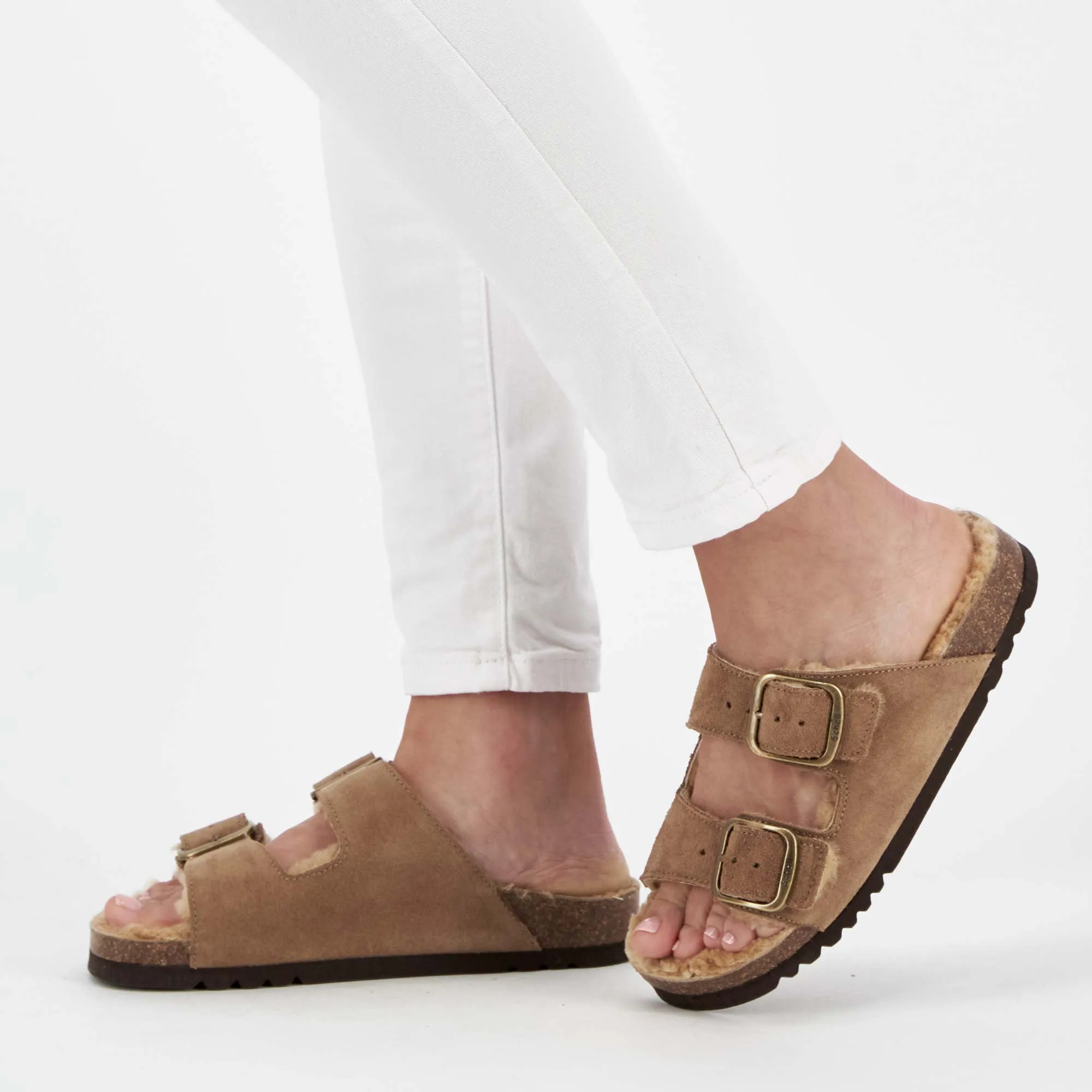 JOSEPHINE F NEW Scholl