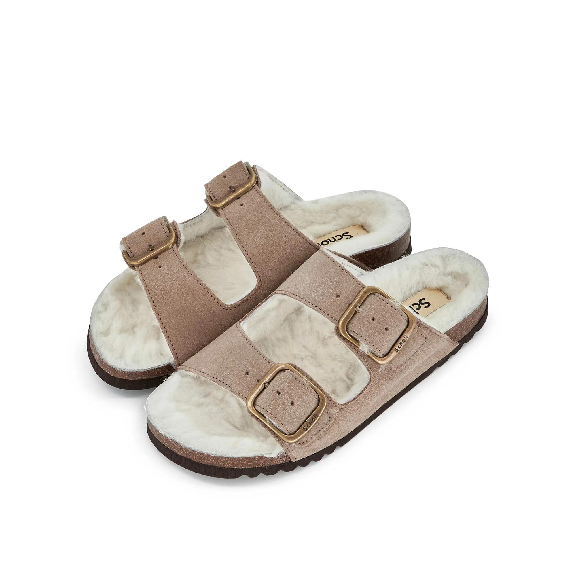 JOSEPHINE F NEW Scholl