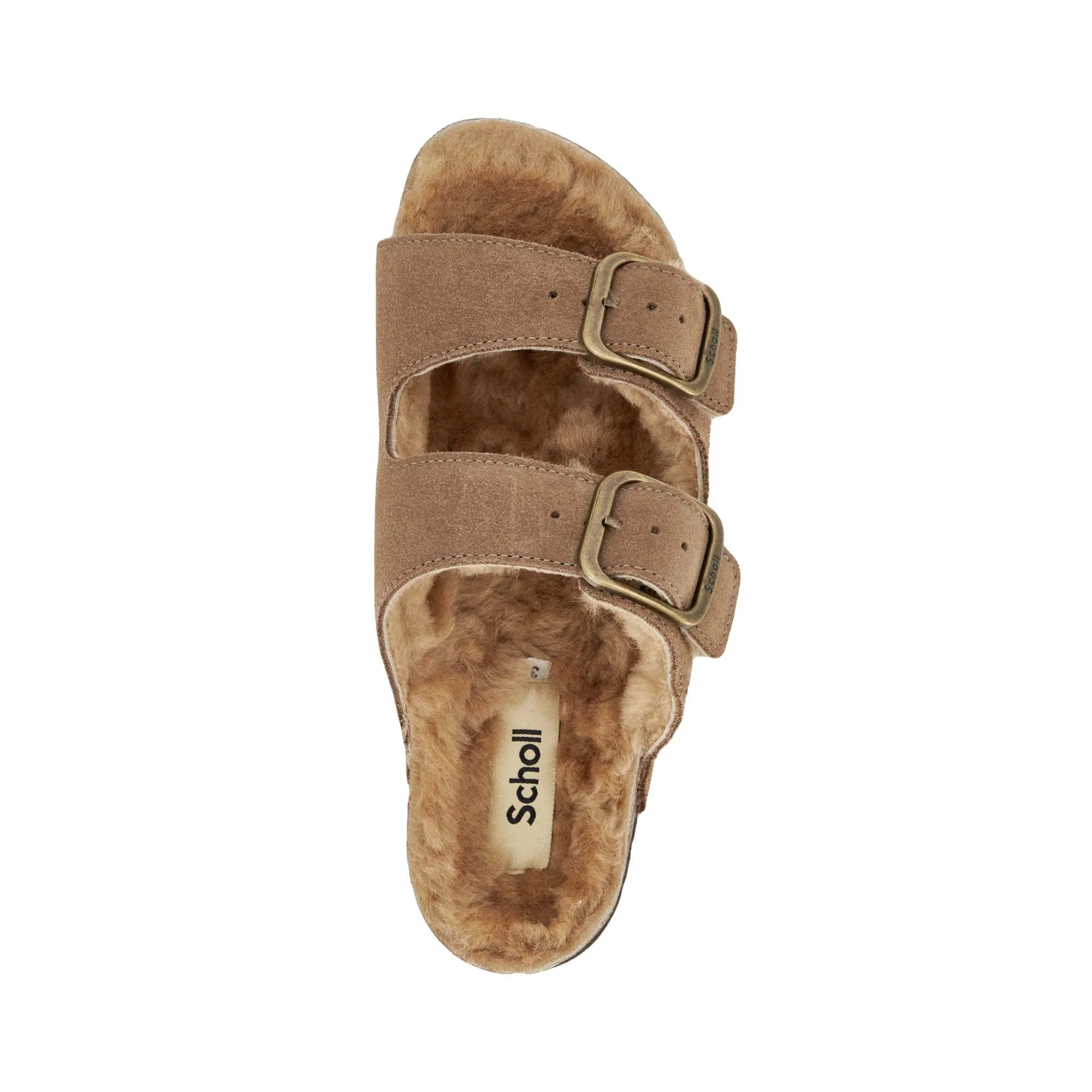 JOSEPHINE F NEW Scholl