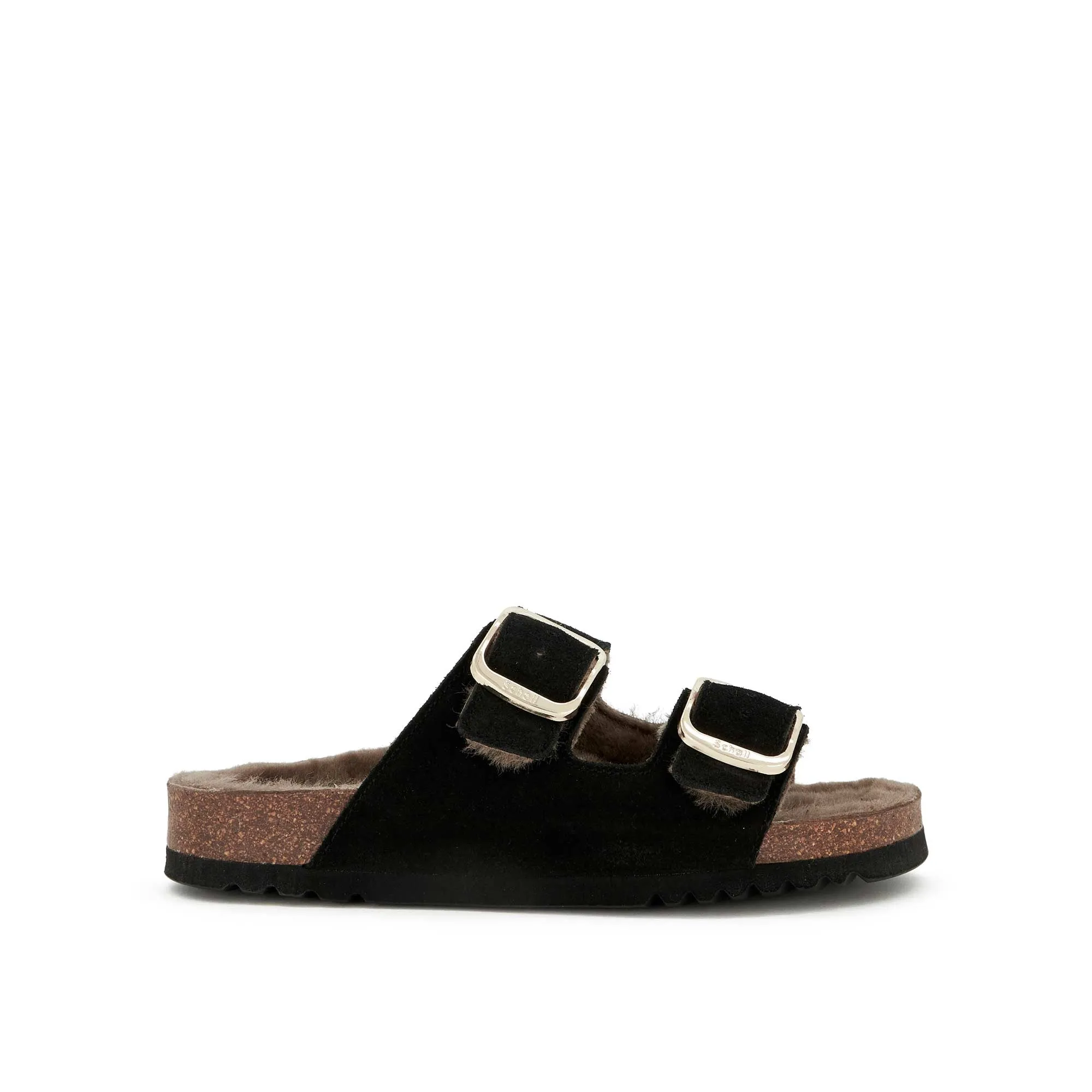 JOSEPHINE F NEW Scholl