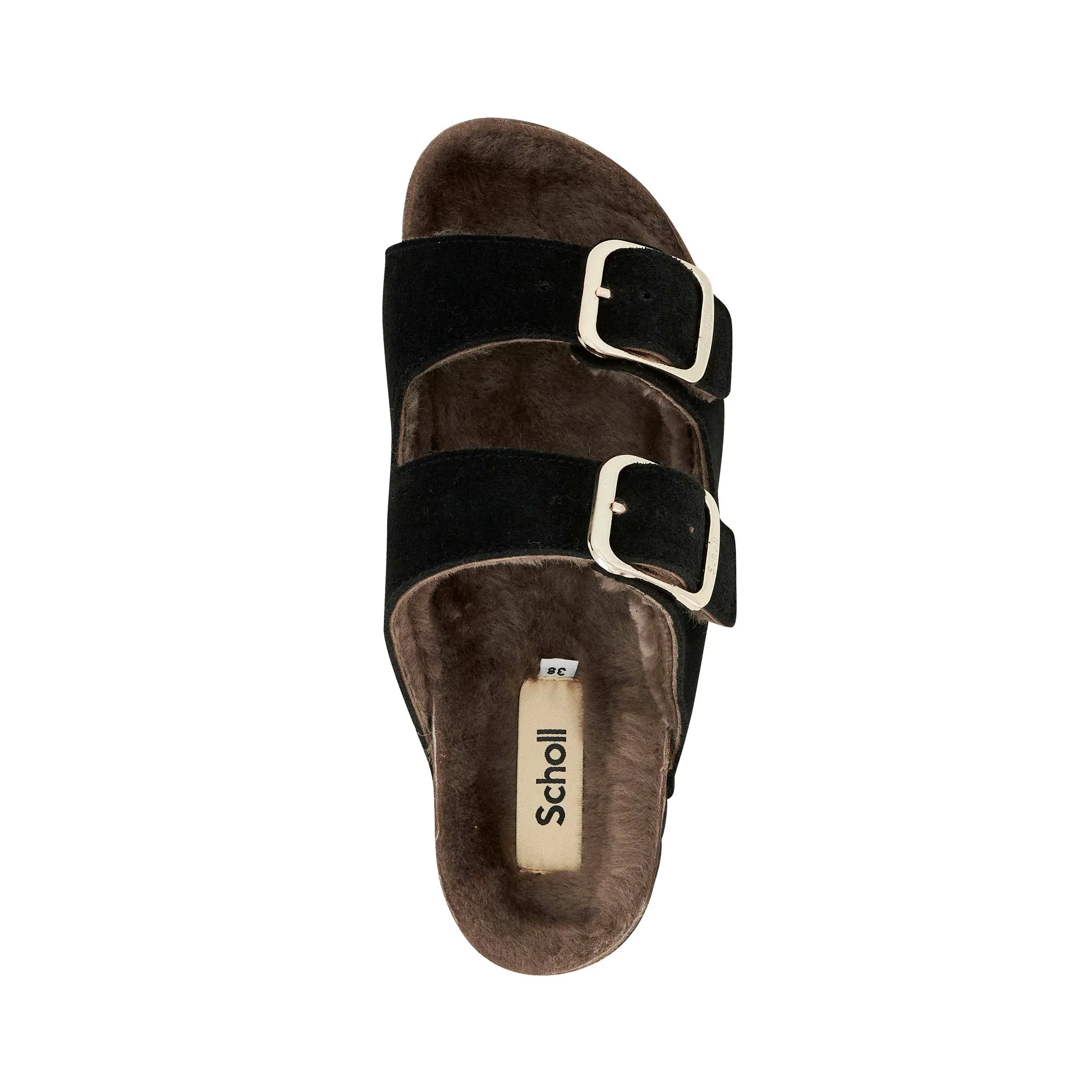 JOSEPHINE F NEW Scholl