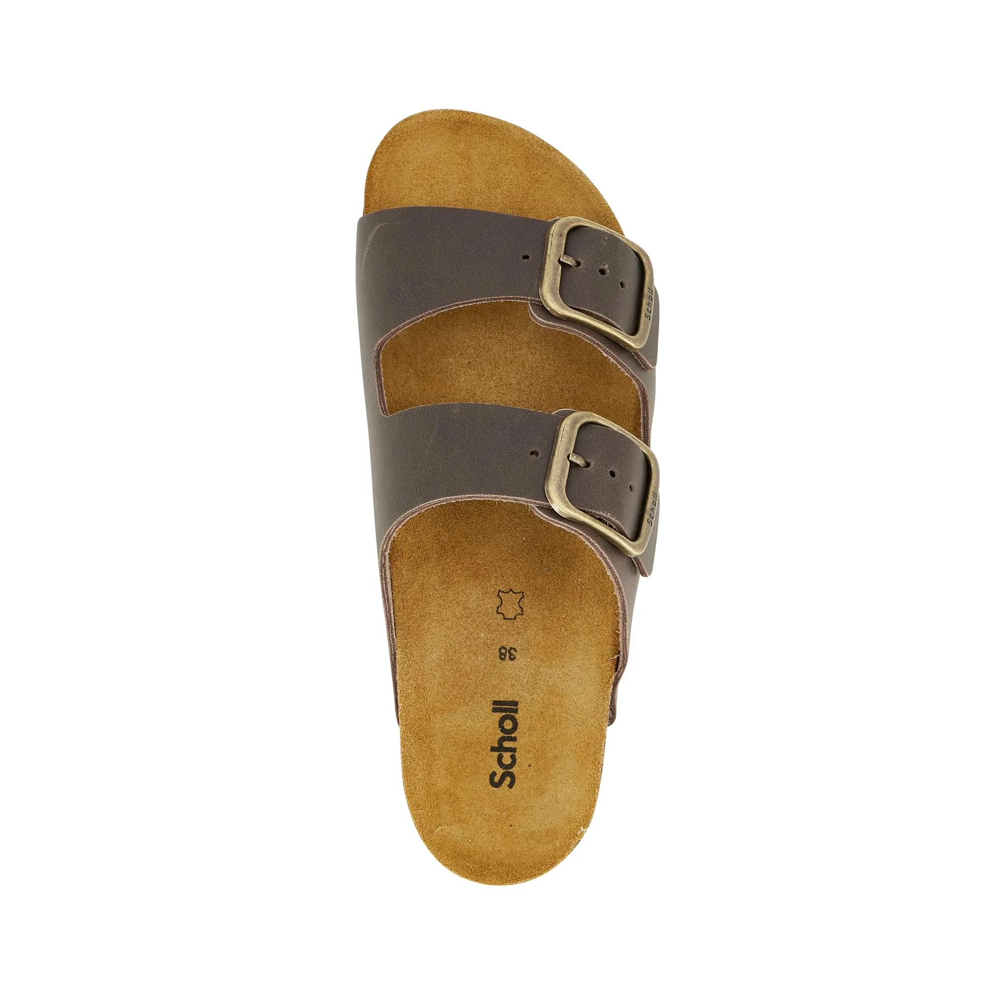 JOSEPHINE NEW Scholl