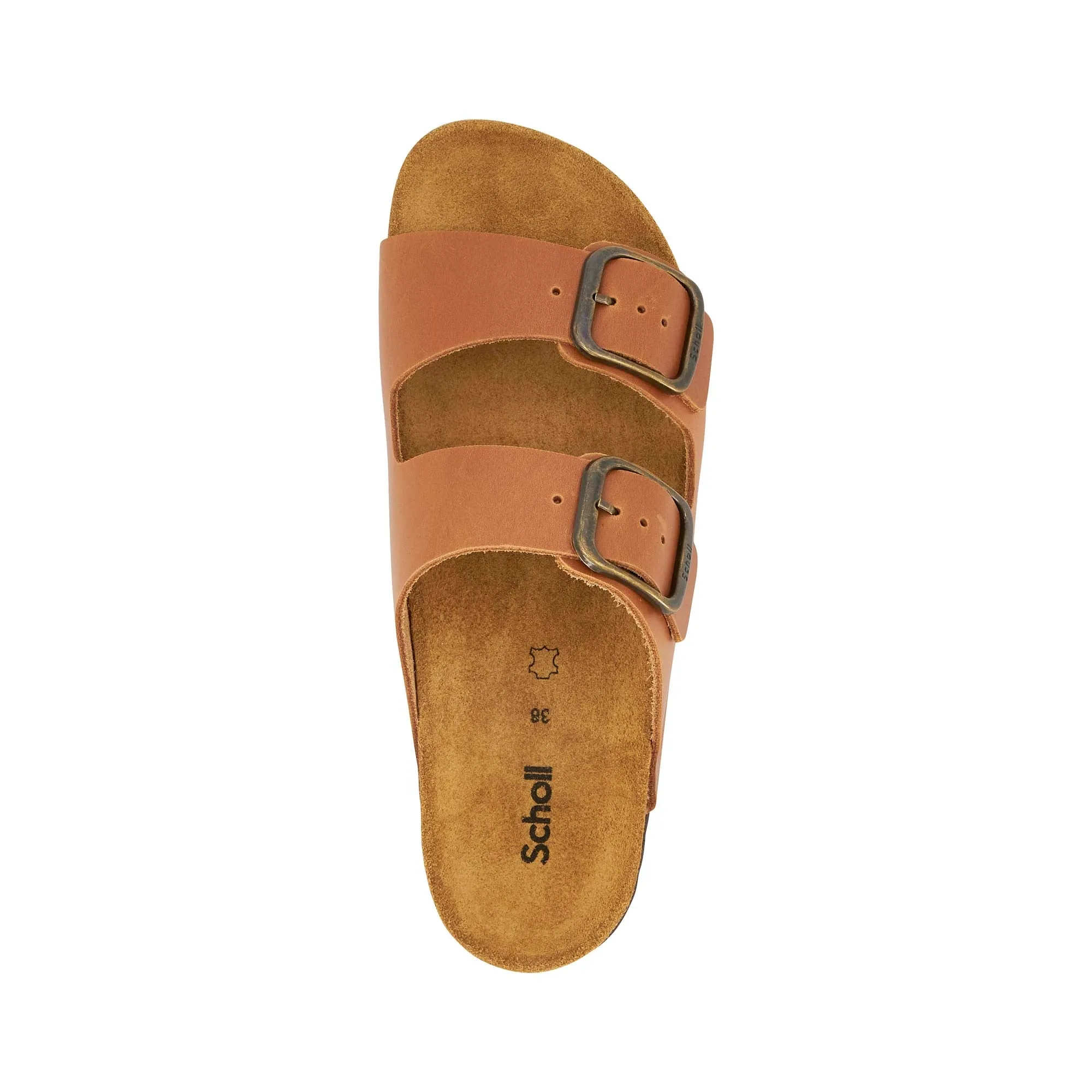 JOSEPHINE NEW Scholl
