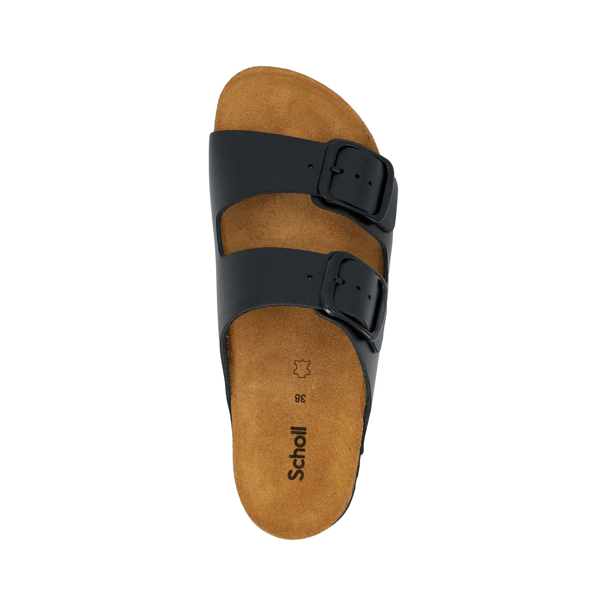 JOSEPHINE NEW Scholl
