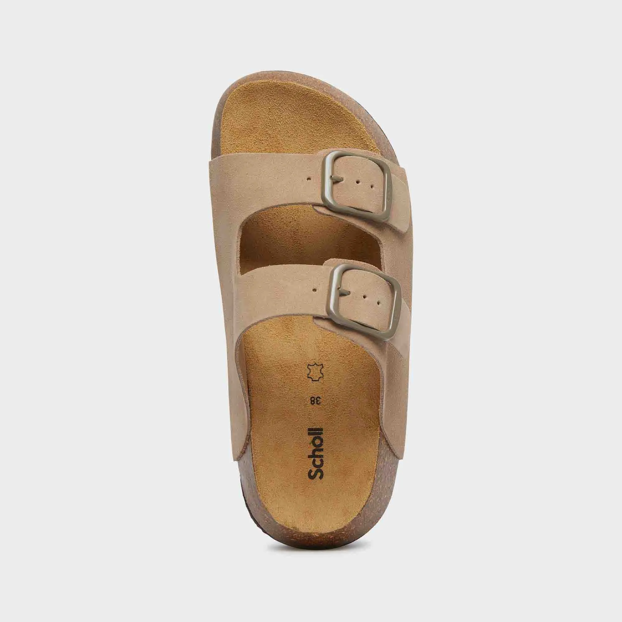 Noelle 24 Scholl